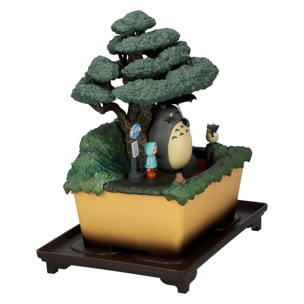 となりのトトロ ウォーターガーデン BONSAI 笠宿 | どんぐり共和国そらのうえ店