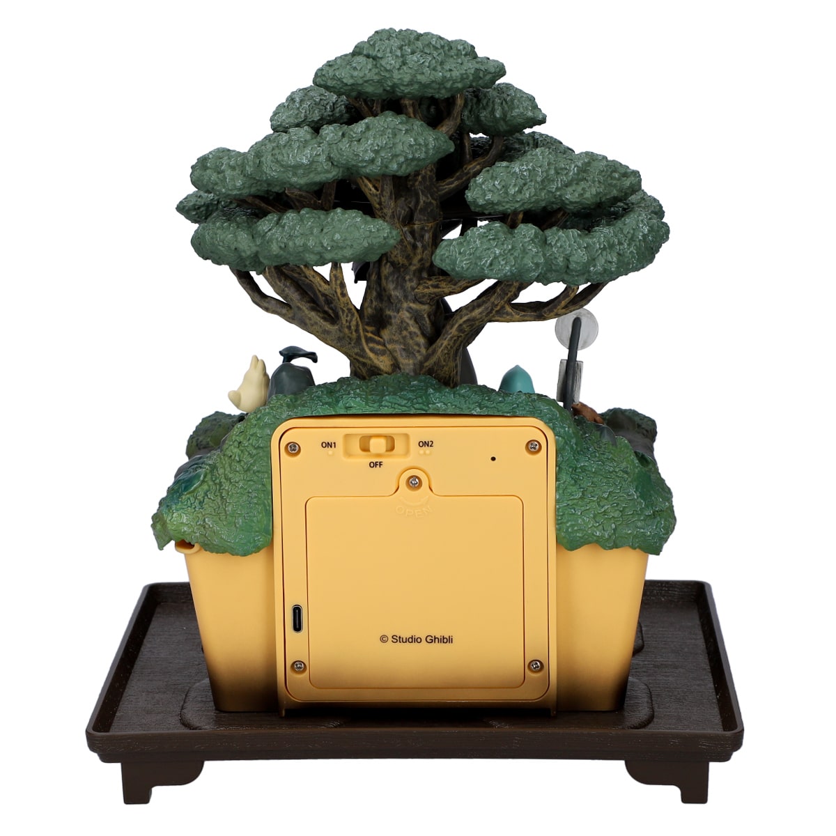 となりのトトロ ウォーターガーデン BONSAI 笠宿 | どんぐり共和国そらのうえ店